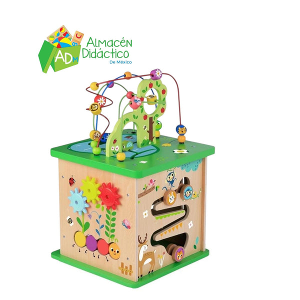 CUBO DE ACTIVIDADES DEL BOSQUE