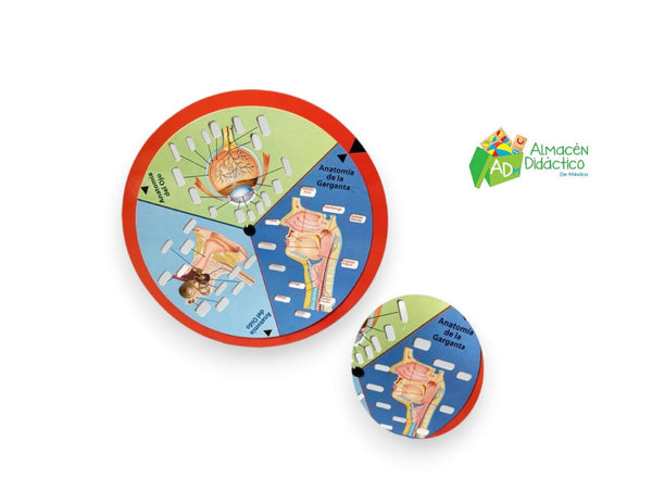 GIRA EL DISCO Y APRENDE OJO, GARGANTA Y OIDO