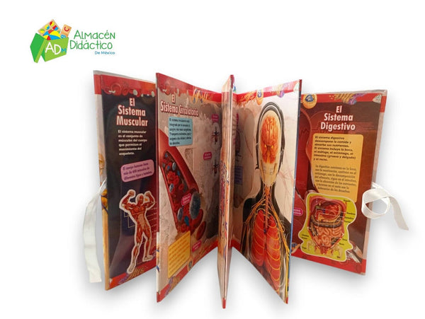 EXPLORANDO EN 3D - EL CUERPO HUMANO