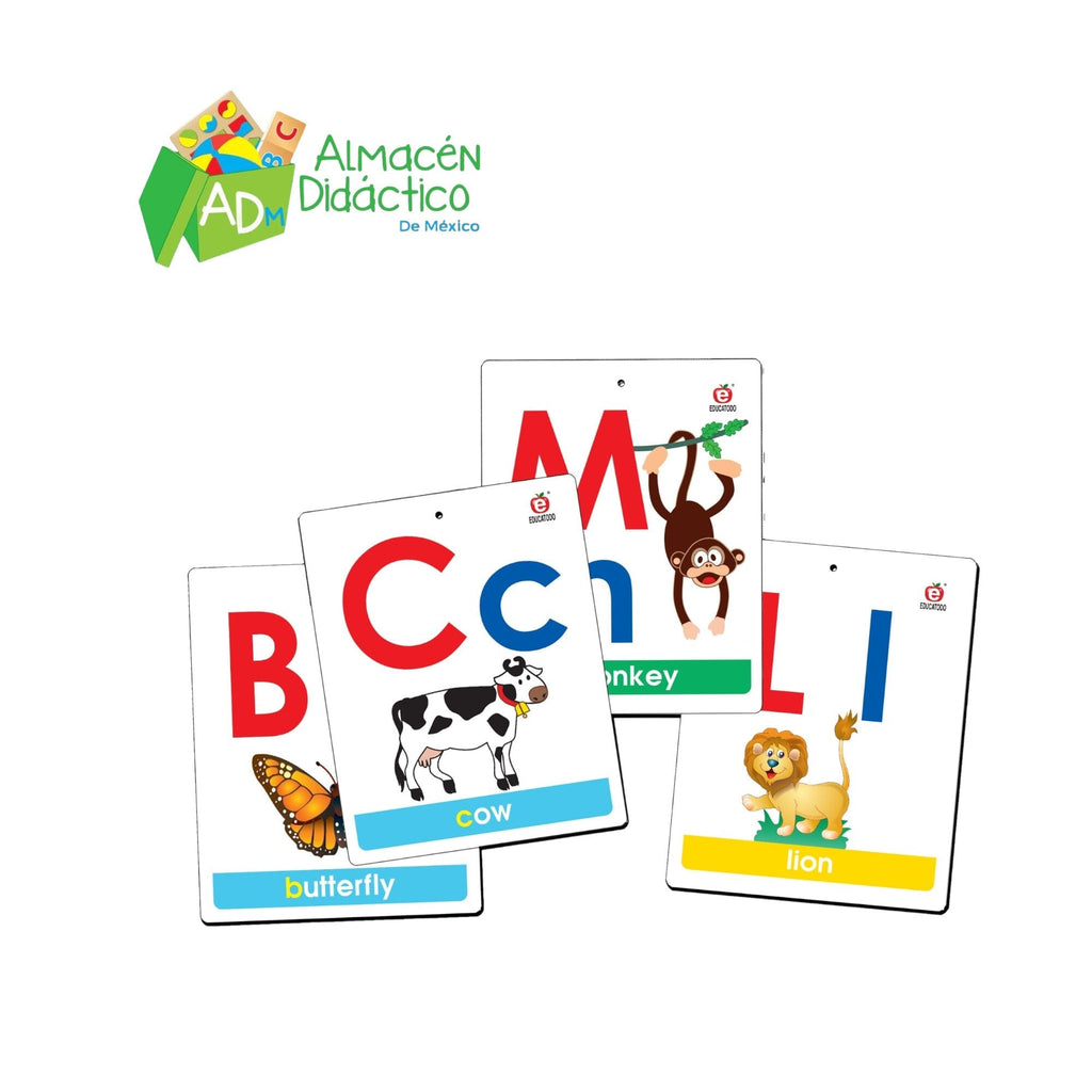 MEGA FLASH CARDS ALPHABET & ASSOCIATION