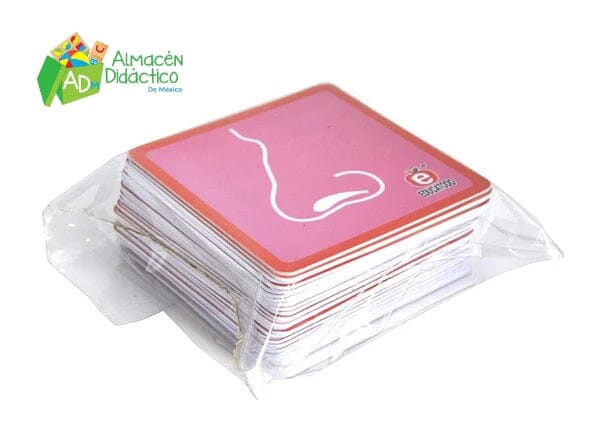 MEMOPARES LOS 5 SENTIDOS