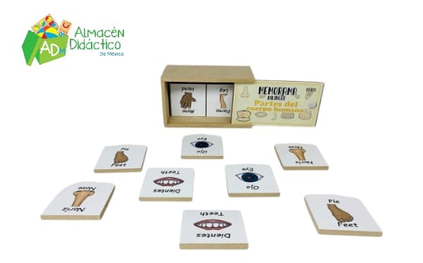 MEMORAMA BILINGÜE PARTES DEL CUERPO HUMANO