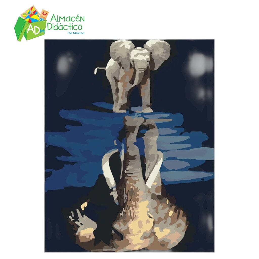 PINTA POR NUMERO - REFLEJO ELEFANTE