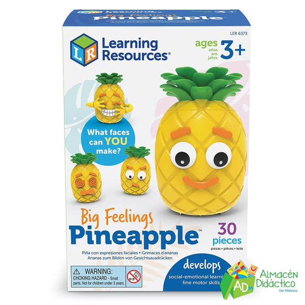 PIÑA EXPRECIONES FACIALES