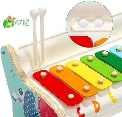 XILOFONO DE ELEFANTE