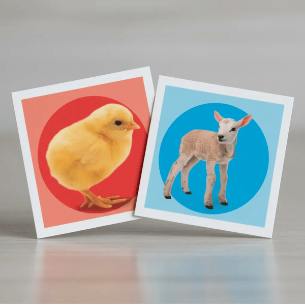 MEMO ANIMALES JUEGO EDUCATIVO