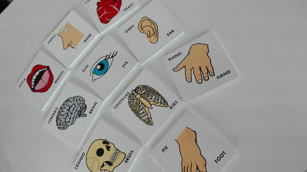 MEMORAMA DEL CUERPO HUMANO